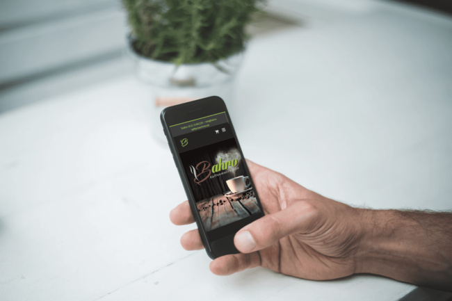 webdesign mock bahro